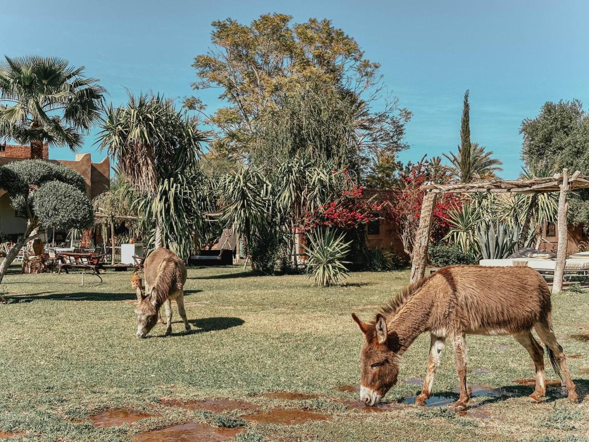 Hotel Le Bled De Gre Marrakesz Zewnętrze zdjęcie