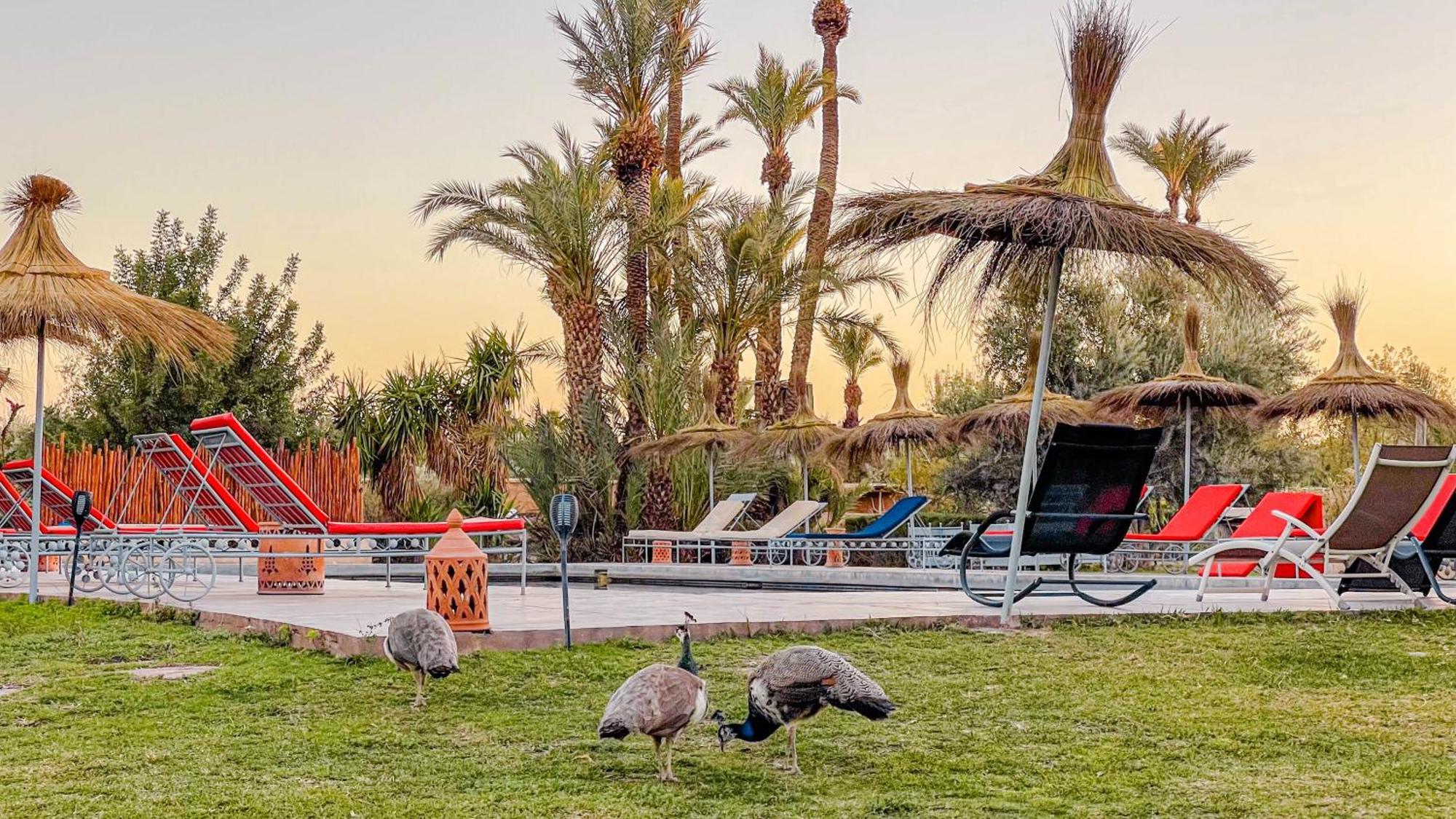 Hotel Le Bled De Gre Marrakesz Zewnętrze zdjęcie